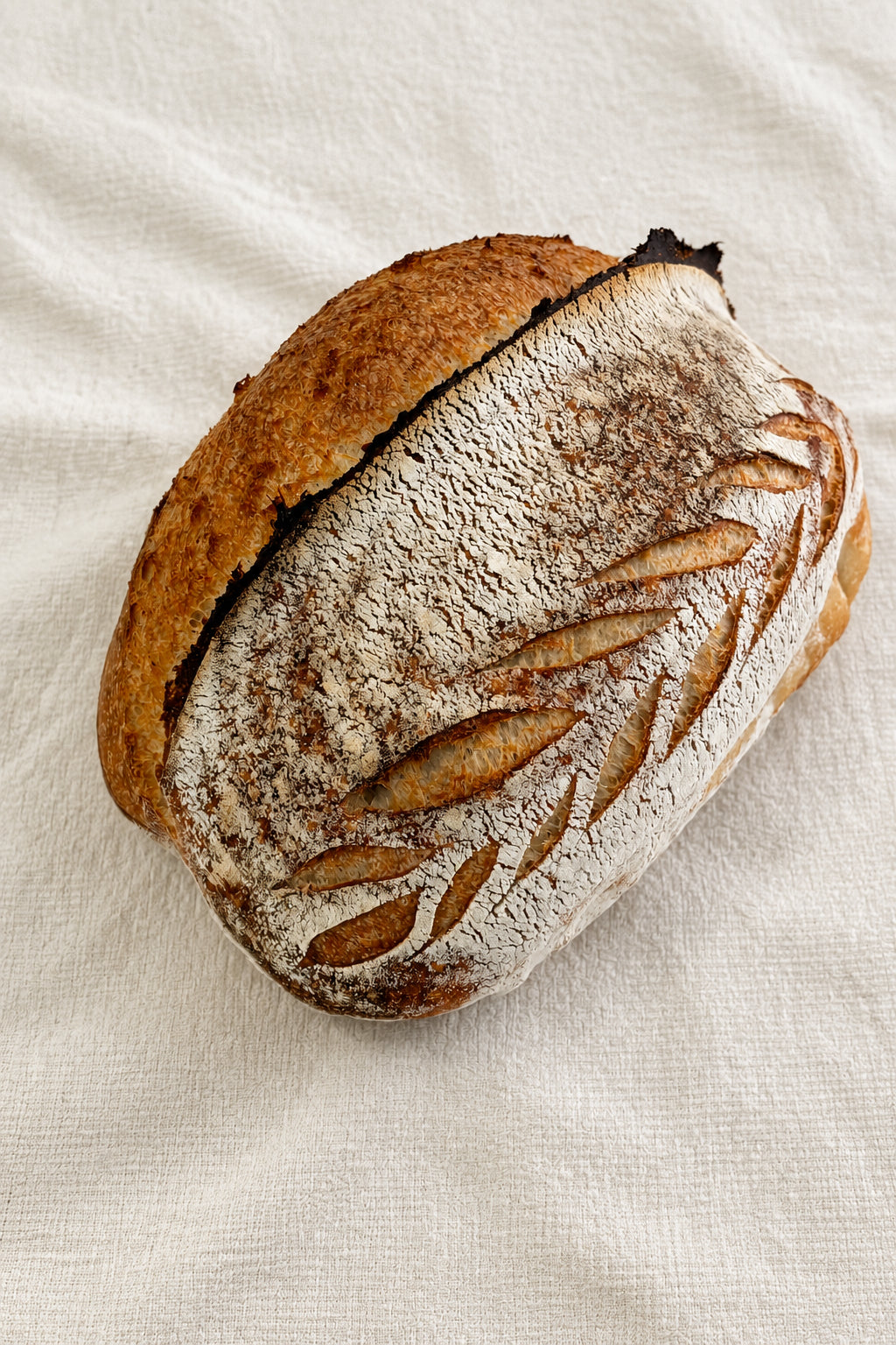 White Sourdough - Medium