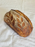 White Sourdough - Large