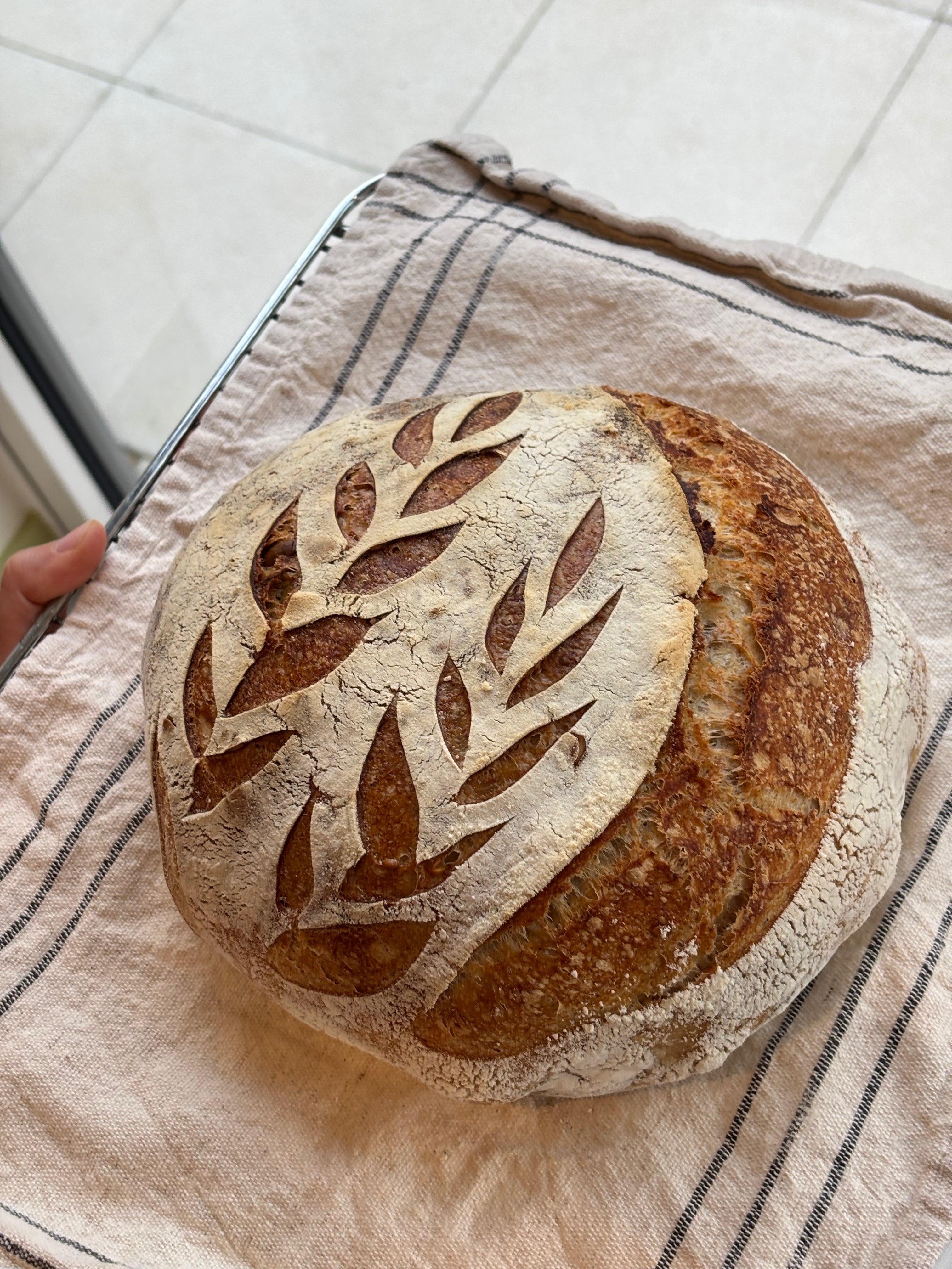 White and Wholemeal Seeded Sourdough - Large